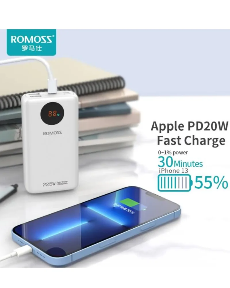 ROSSMOSS- SW- 10PF -POWER BANK